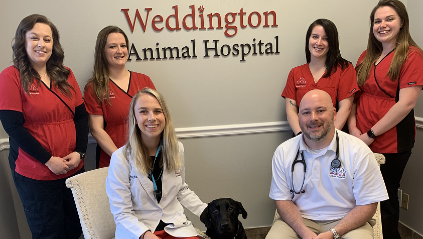Meet Our Vets and Team | Weddington Animal Hospital